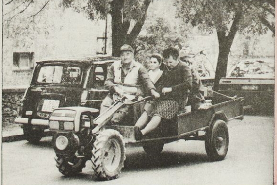 Polja, vinogradi i maslinici: životna snaga starih Vodičana